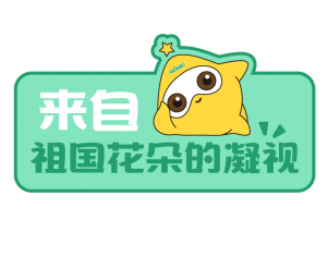 Ӯʡ(й)޹˾